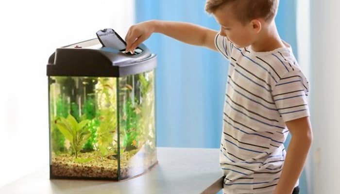 best-starter-aquarium-reviews