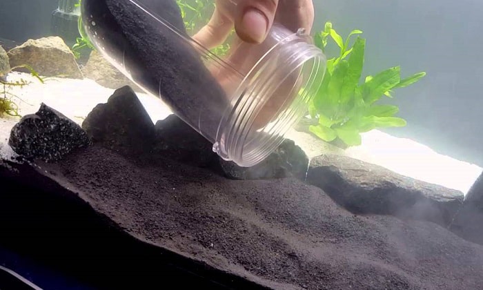black-aquarium-sand