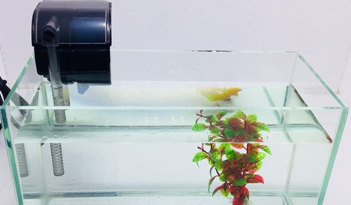 best-hang-on-back-filter