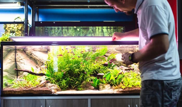 food-for-saltwater-fish