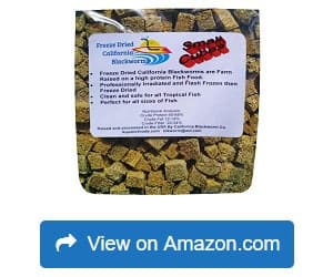 Aquatic-Foods-Inc-Blackworms