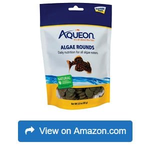 Aqueon-Algae-Rounds-Algae-Eater