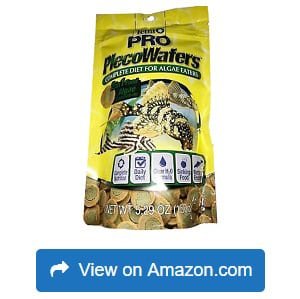 Tetra-Algae-Wafers-1