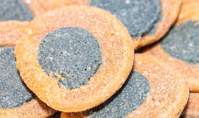 algae-wafers-for-plecos