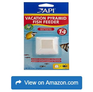 API-Automatic-Fish-Feeder