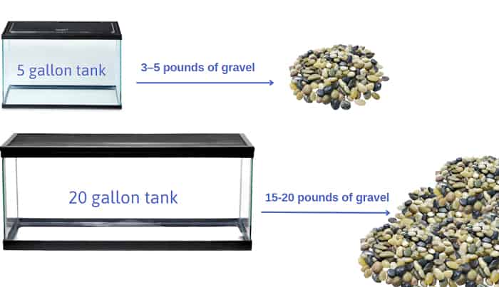 gravel-in-a-fish-tank