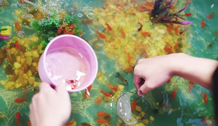 clean-a-fish-tank-after-a-fish-dies