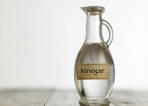 vinegar-to-clean-fish-tank