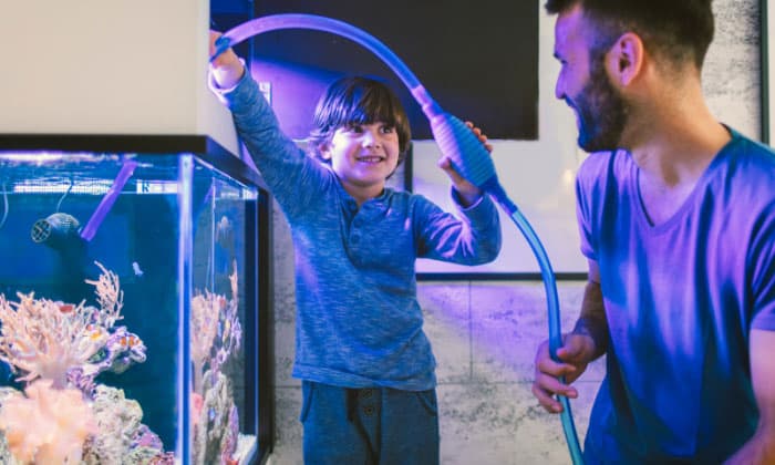 add-fish-after-24-hours