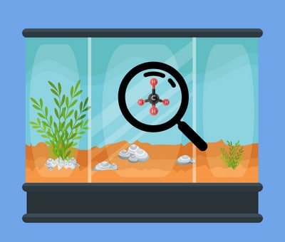 cloudy-fish-tank-after-one-day