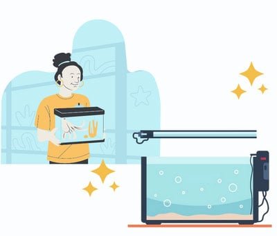 fix-hard-water-in-fish-tank