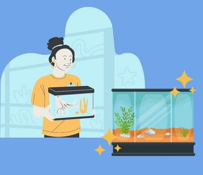 get-cloudy-overnight