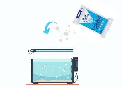 in-freshwater-aquarium