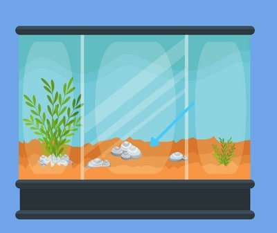 keep-a-betta-fish-tank-clean