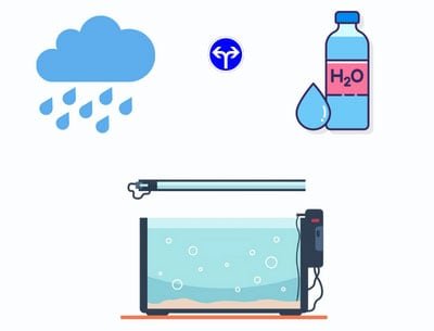 lower-general-hardness-in-fish-tank
