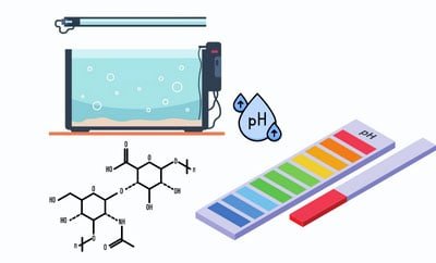 lower-gh-in-aquarium