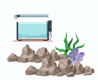 lower-the-hardness-of-aquarium-water