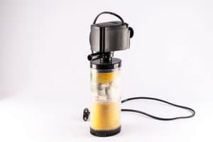 adding-oxygen-to-fish-tank