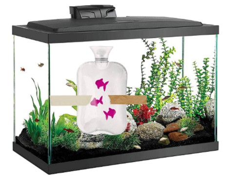 add-warm-water-to-a-fish-tank