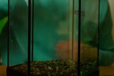 aquarium-to-terrarium-conversion-kit