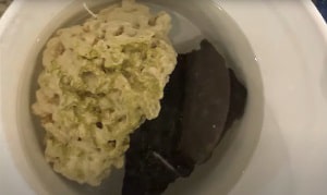 clean-algae-from-aquarium-decor