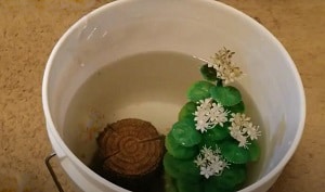 clean-algae-off-aquarium-decorations