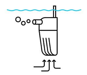 fish-staying-in-top-corner-of-tank