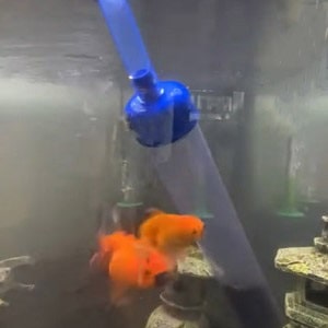 full-water-change-in-fish-tank