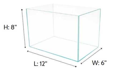hardy-fish-for-3-gallon-tank