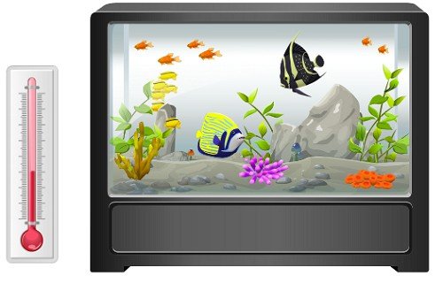 heat-a-fish-tank-without-a-heater
