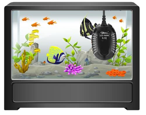 keep-betta-fish-warm