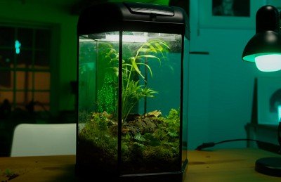old-fish-tank