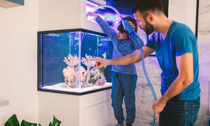 put-in-a-5-gallon-tank