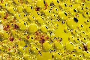 put-in-a-5-gallon-tank