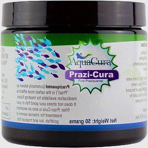 treating-internal-parasites-in-fish