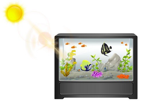 warm-fish-tank-without-heater