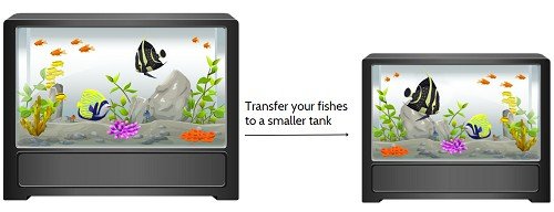 warm-up-a-fish-tank-without-a-heater