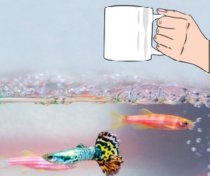 air-pump-work-in-aquarium