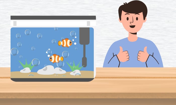 an-air-pump-for-fish-tank