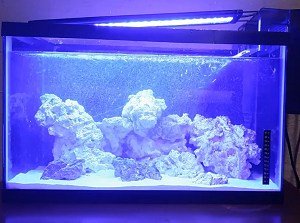 aquarium-filter-setup