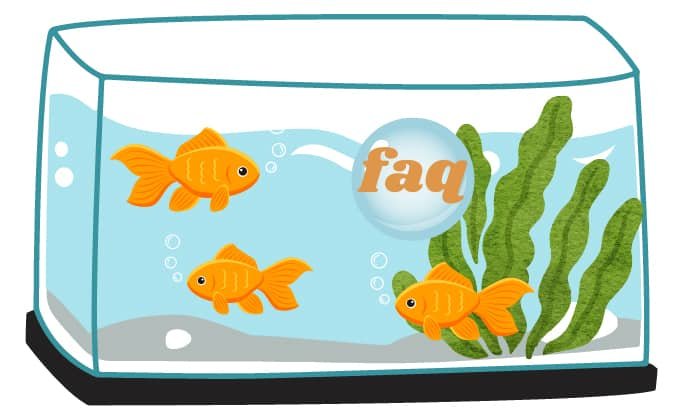 aquarium-water-yellow