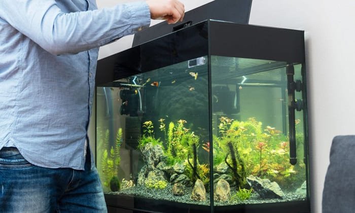 change-tetra-filter-cartridge