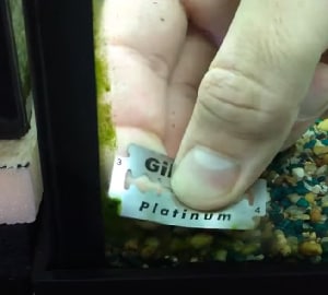 diy-aquarium-glass-cleaner