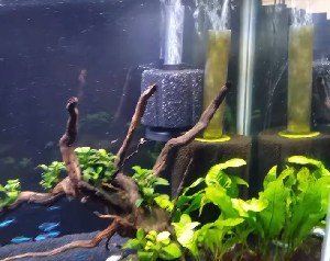 filter-for-fish-tank-instructions