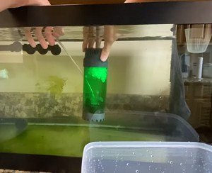 fish-tank-filter-installation