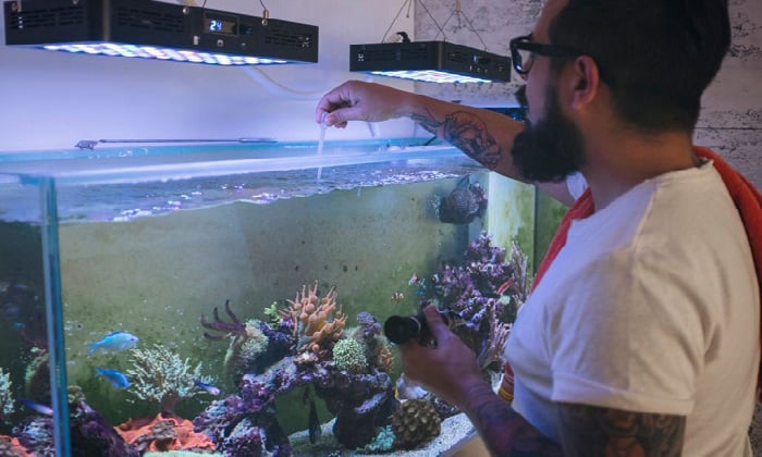 fix-water-hardness-in-fish-tank