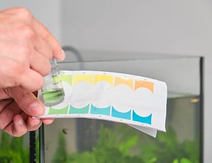 get-hard-water-stains-off-aquarium-glass