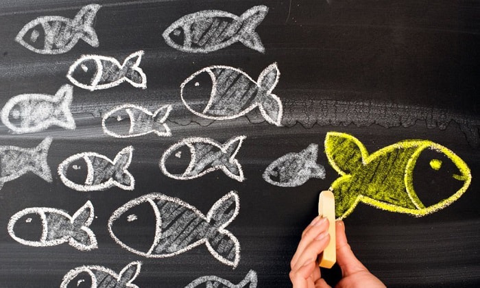 goldfish-in-1-gallon-tank