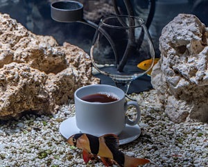 homemade-fish-tank-decoration-ideas