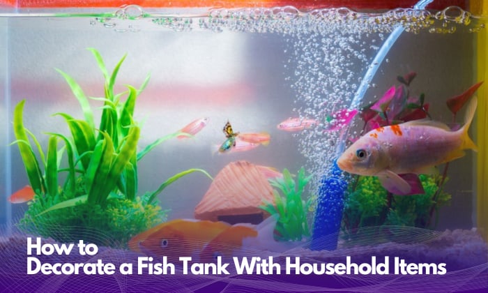 how-to-decorate-a-fish-tank-with-household-items
